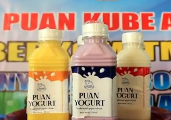 Potensi Ekonomi Susu Kerbau Khas Desa Bangsal